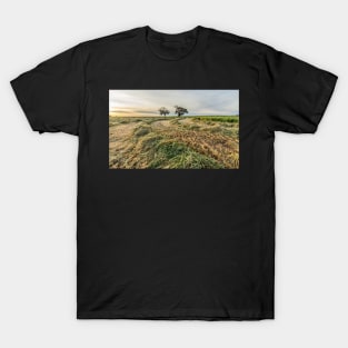 Hay Season T-Shirt